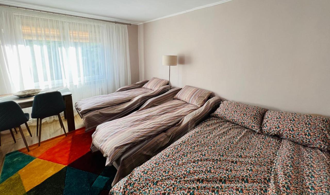 Studio62 Moldvahosszúmező Kültér fotó